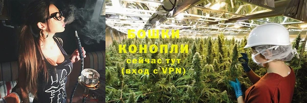 трава Медногорск