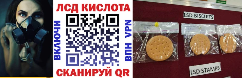 наркошоп  Цивильск  Марки N-bome 1500мкг 
