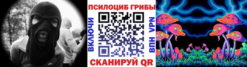 Псилоцибиновые грибы Psilocybine cubensis Цивильск